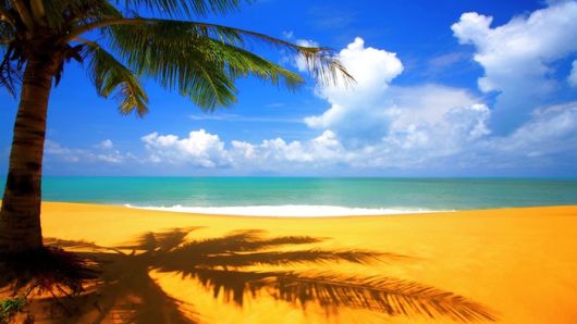 plage-tropicale